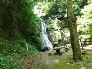 20250621_105104819.JPG