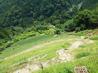 20250621_110134918.JPG