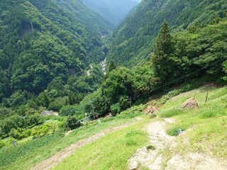 20250621_110234265.JPG
