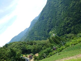 20250621_110307550.JPG