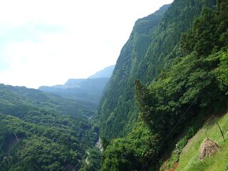 20250621_110314180.JPG