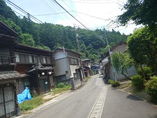 20250621_112315094.JPG