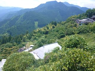 20250621_120803674.JPG