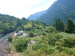 20250621_120806171.JPG