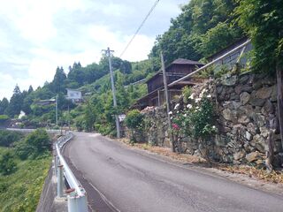 20250621_120822965.JPG