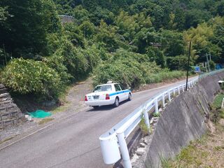20250621_120825313.JPG