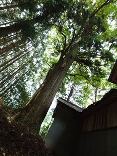 20250621_124125931.JPG