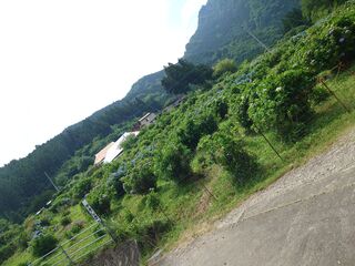 20250621_132008640.JPG
