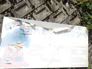20250621_141501134.JPG