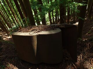 20250621_142555521.JPG
