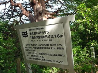 20250621_143608866.JPG