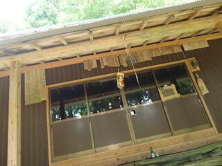 20250621_154211331.JPG