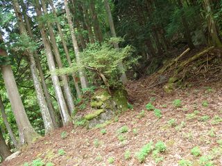 20250621_154319863.JPG