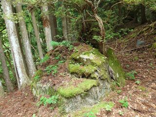20250621_154325615.JPG