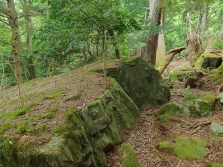 20250621_154827181.JPG