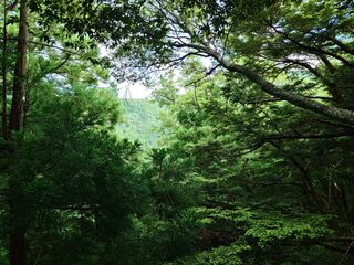20250621_155106540.JPG