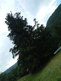 20250621_160922111.JPG