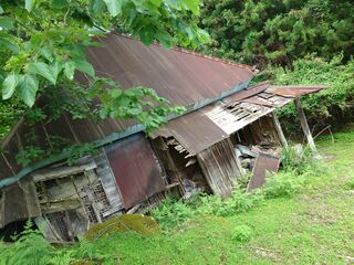 20250621_161320774.JPG