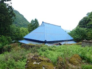20250621_161323351.JPG
