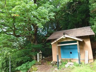 20250621_161531589.JPG