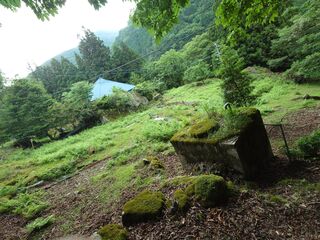 20250621_161741798.JPG