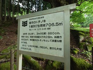 20250621_161801192.JPG