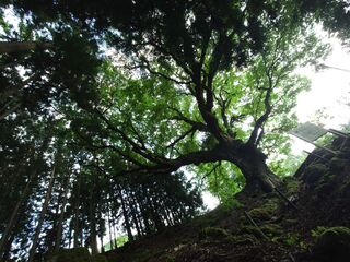 20250621_161853494.JPG