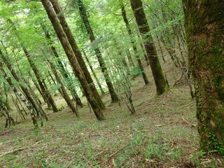 20250621_165006263.JPG