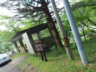 20250621_165215857.JPG