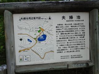 20250621_165434867.JPG