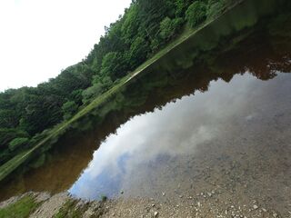 20250621_165515888.JPG