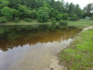 20250621_165518179.JPG