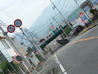 20250622_073720515.JPG