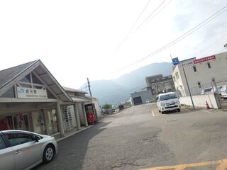 20250622_074727243.JPG