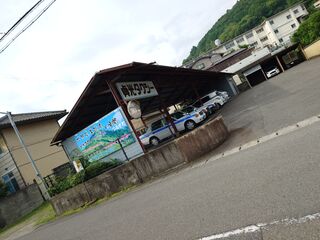 20250622_080108631.JPG