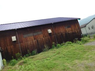 20250622_080441487.JPG