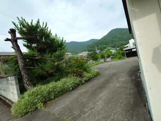 20250622_081533914.JPG