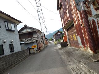 20250622_081711493.JPG