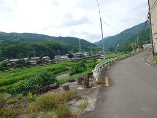 20250622_082857568.JPG