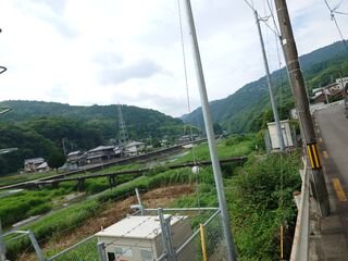 20250622_082937066.JPG