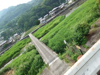 20250622_083004571.JPG
