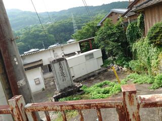 20250622_083045963.JPG