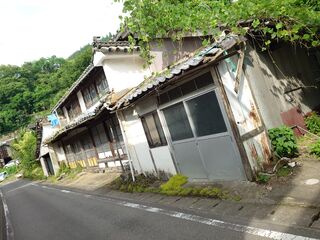 20250622_083248286.JPG