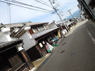 20250622_084139663.JPG
