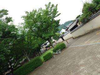 20250622_090016832.JPG