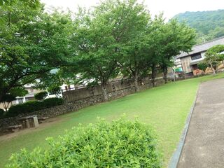 20250622_090337461.JPG