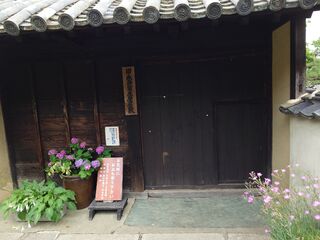 20250622_090414714.JPG