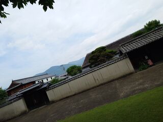 20250622_090450083.JPG