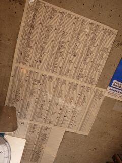 20250622_095229256.JPG