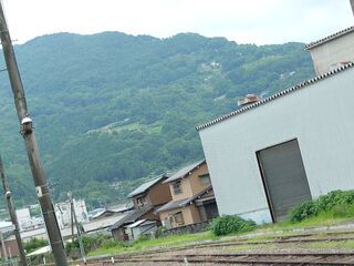 20250622_105004941.JPG